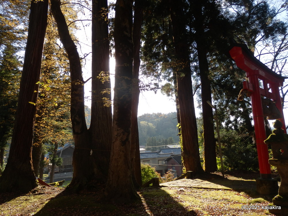 こちらもようやく参拝出来た栃堀巣守神社［長岡市栃堀］