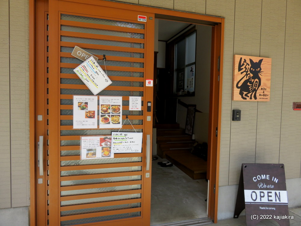 加茂市・加茂川を泳ぐ鯉のぼり2022(4/9)