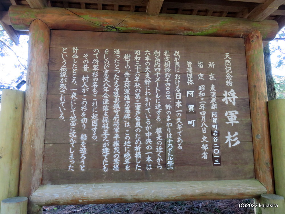 将軍・平維茂に由来する、阿賀町のパワースポット「将軍杉」