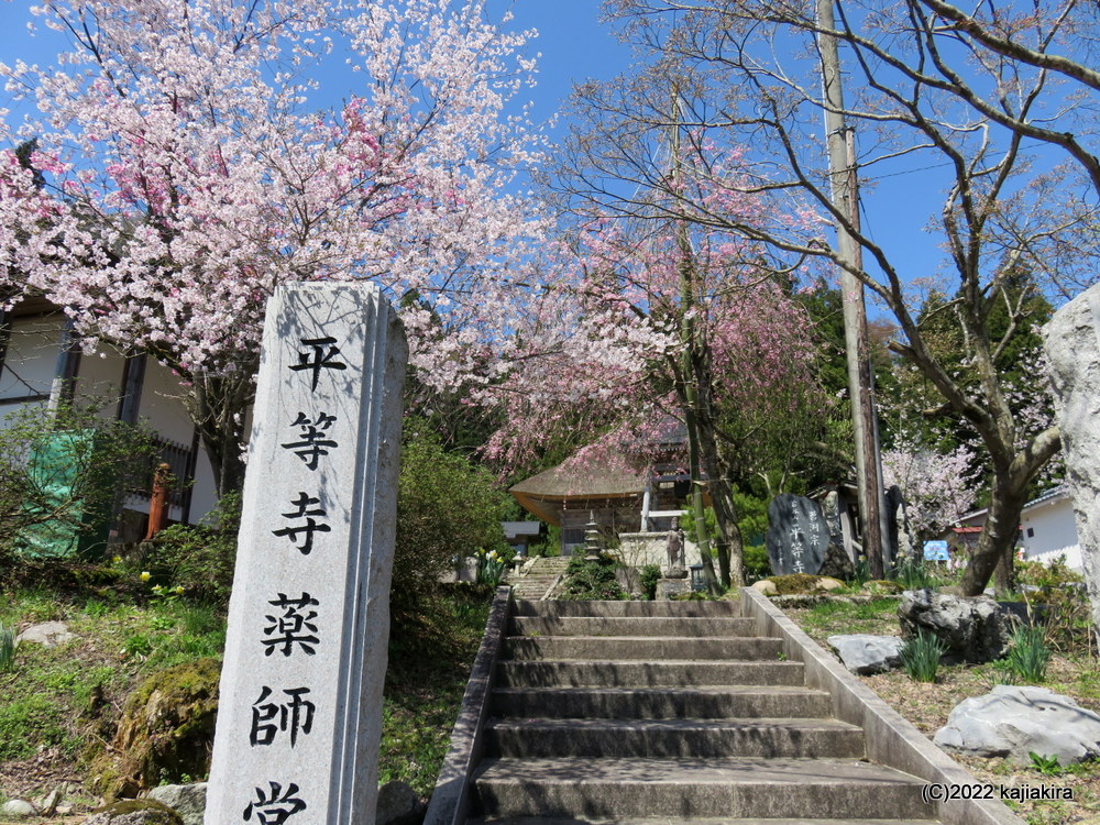 将軍・平維茂に由来する、阿賀町のパワースポット「将軍杉」