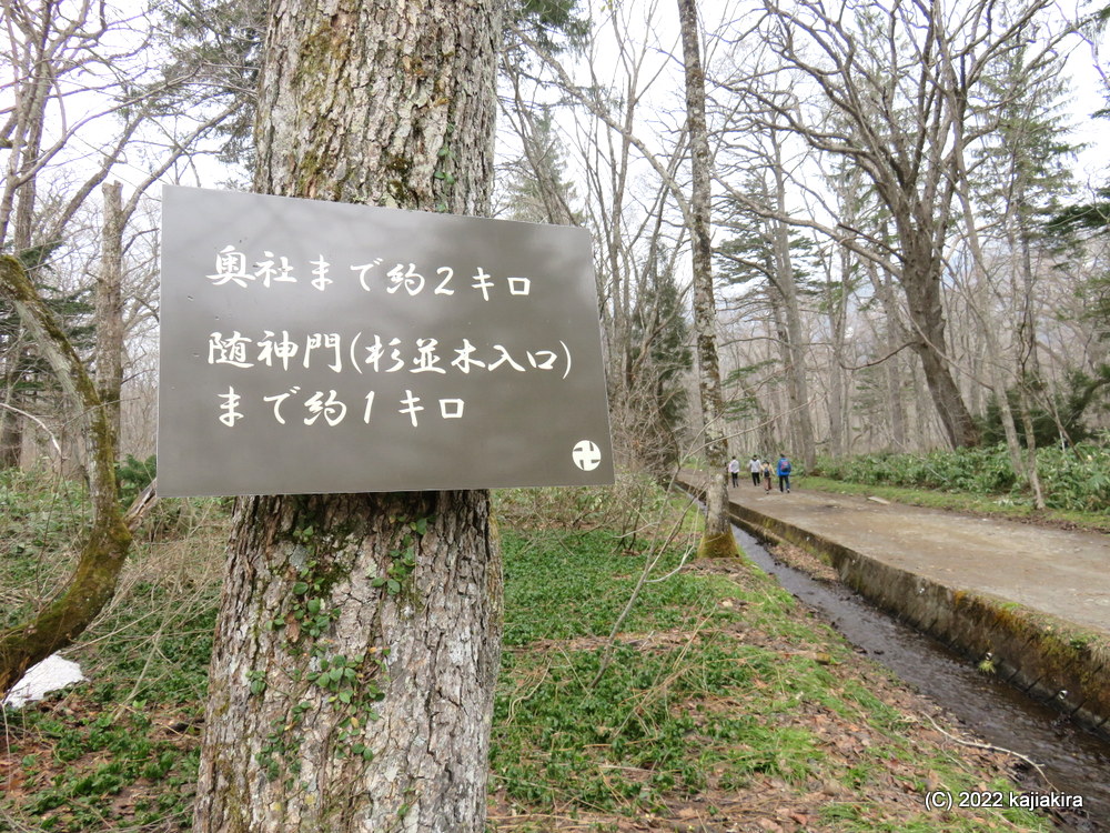長野・戸隠神社（五社のうち三社）巡り「奥社参道」途中まで行ってみた編