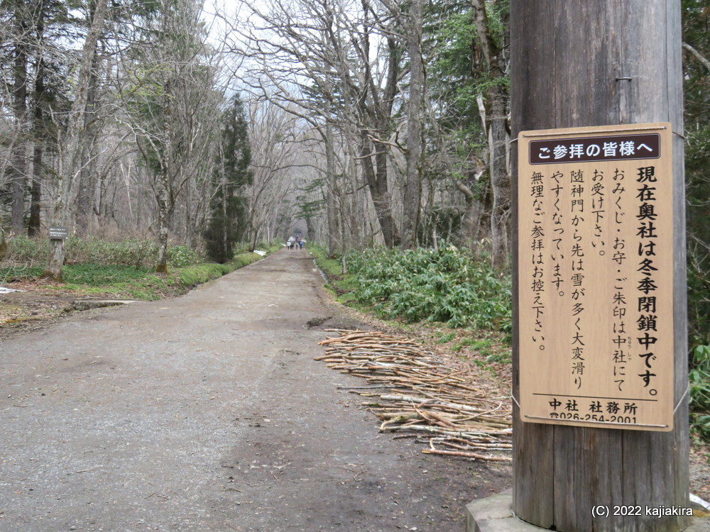 長野・戸隠神社（五社のうち三社）巡り「奥社参道」途中まで行ってみた編