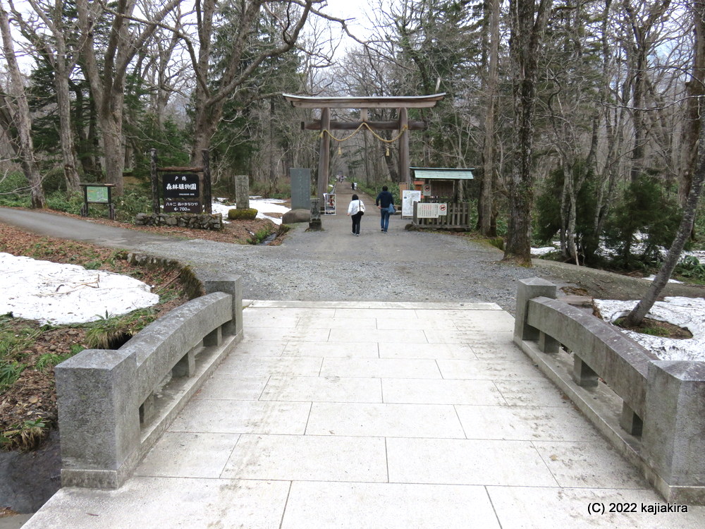 長野・戸隠神社（五社のうち三社）巡り「奥社参道」途中まで行ってみた編