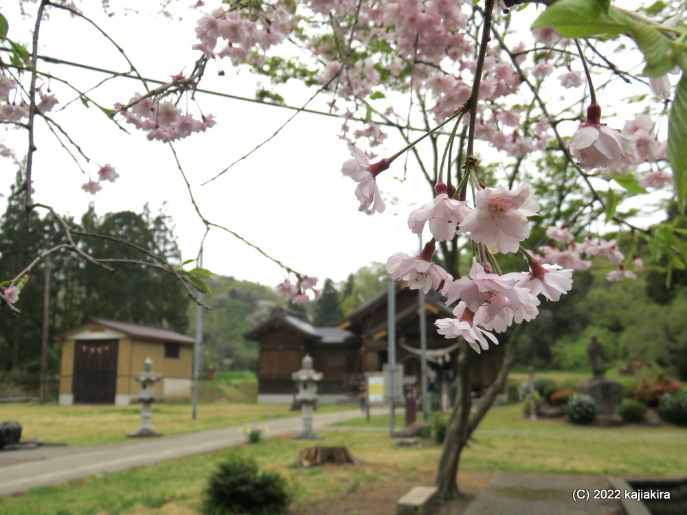 越後一の宮「居多神社」（上越市五智）