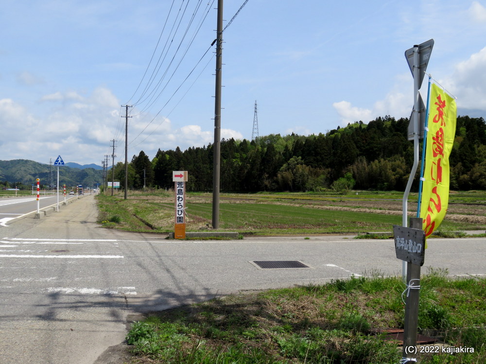 村上市「荒島わらび園」が開園しました。
