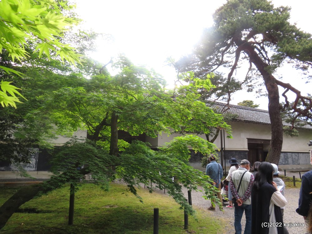 新潟市江南区の沢海地区にある豪農の館、北方文化博物館の「大藤棚ライトアップ」に行ってきました。