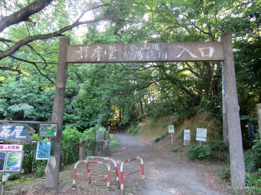 護摩堂山の山頂付近に広がる「あじさい園」へ、2022年最初の登山