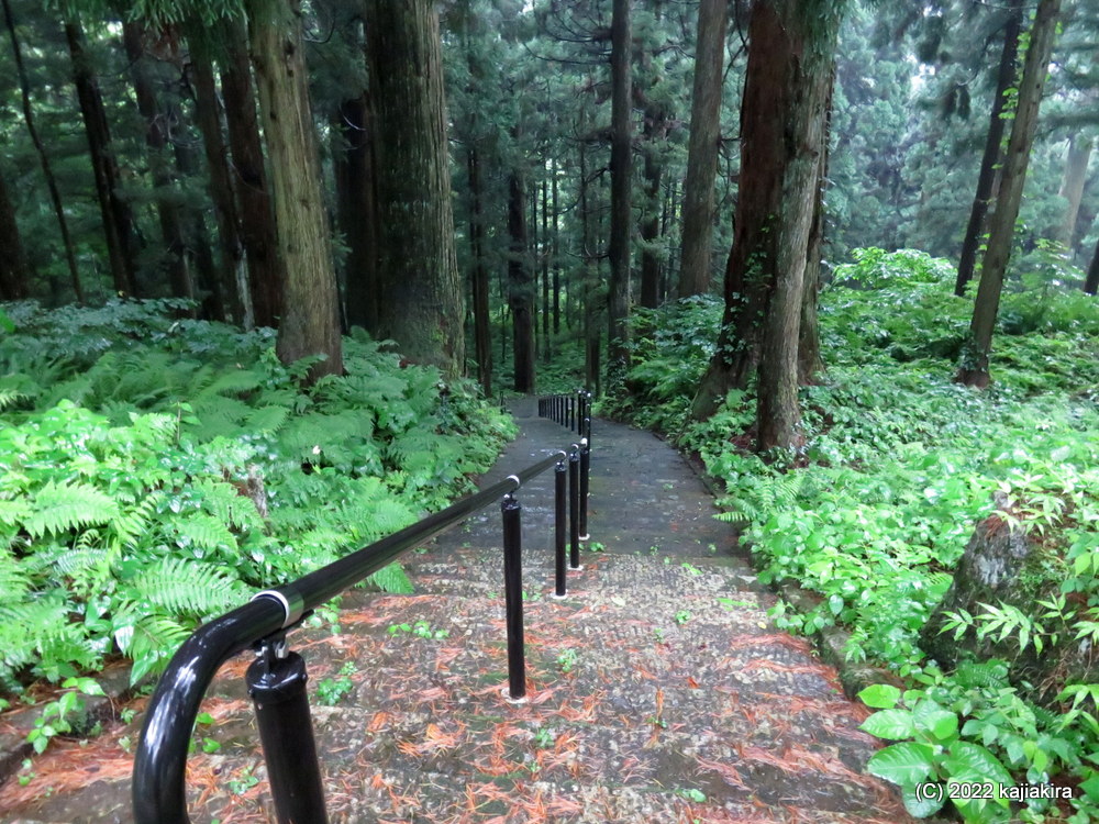 豪雨の中、二王子岳麓に鎮座する下越総鎮守「二王子神社」へ初めて参拝。