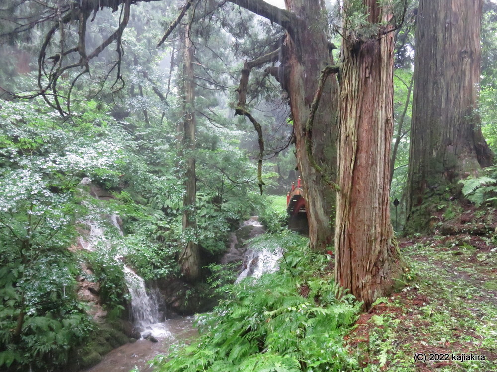 豪雨の中、二王子岳麓に鎮座する下越総鎮守「二王子神社」へ初めて参拝。