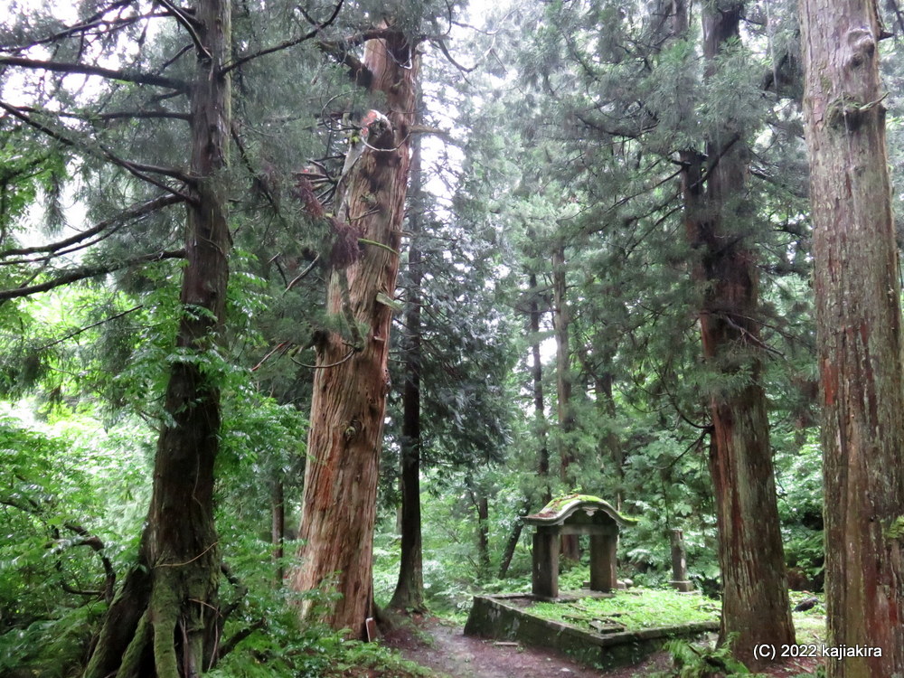 豪雨の中、二王子岳麓に鎮座する下越総鎮守「二王子神社」へ初めて参拝。