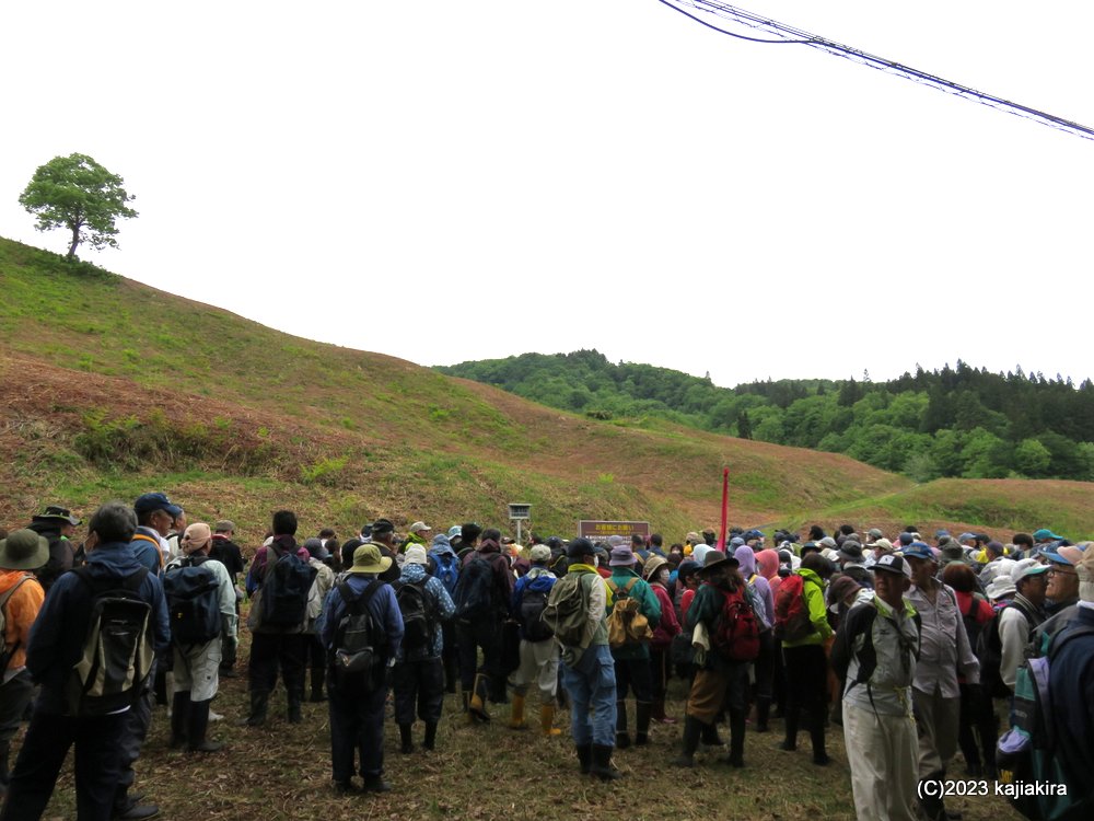 「丸渕観光わらび園（阿賀町）」2023年オープン初日（5/14）の様子