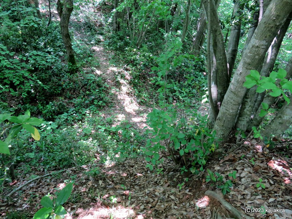 金山城館遺跡の一つ、「かたつむり山城跡」（新発田市金山）へ