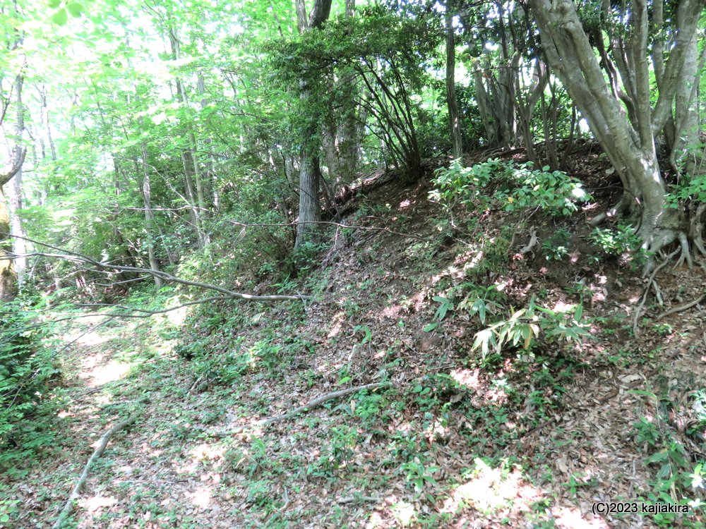 金山城館遺跡の一つ、「かたつむり山城跡」（新発田市金山）へ