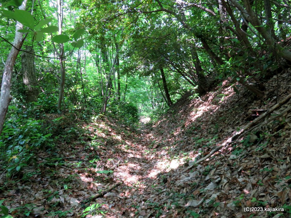 金山城館遺跡の一つ、「かたつむり山城跡」（新発田市金山）へ