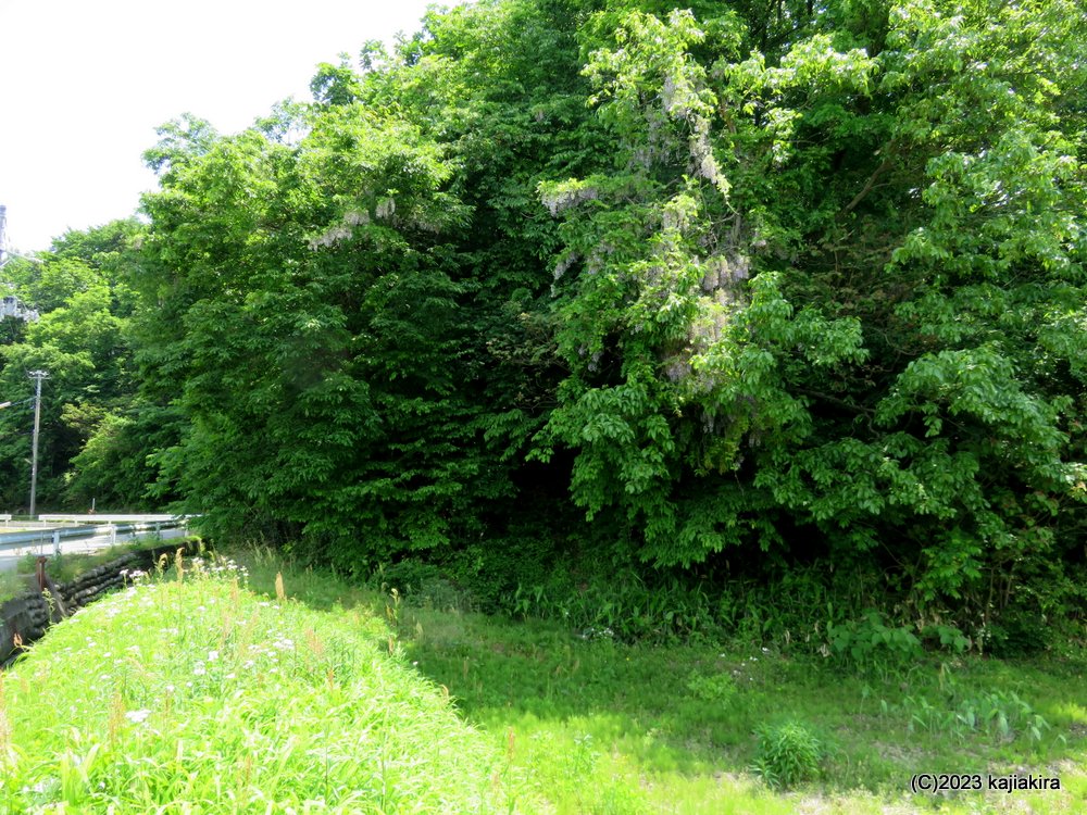 金山城館遺跡の一つ、「かたつむり山城跡」（新発田市金山）へ