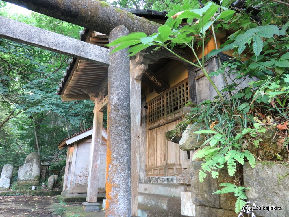 お不動様の清水（里の名水・やまがた百選）［山形県鶴岡市加茂］