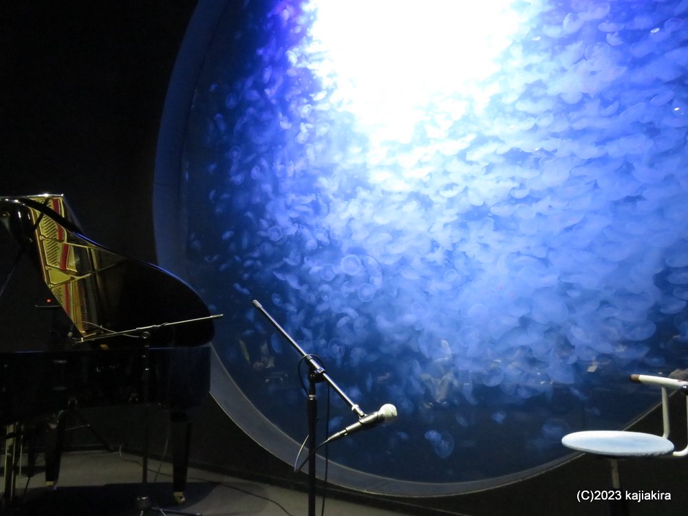 鶴岡市立加茂水族館に再び［第44回 音楽の夕べ ～あなたとクラゲと音楽と～］