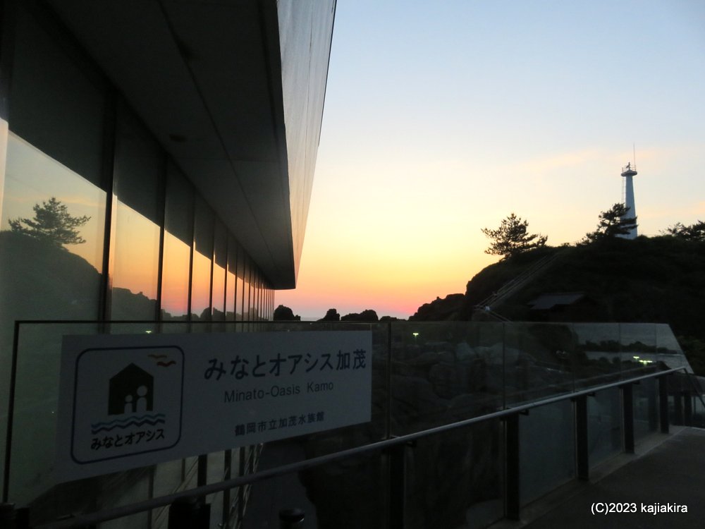 鶴岡市立加茂水族館に再び［第44回 音楽の夕べ ～あなたとクラゲと音楽と～］