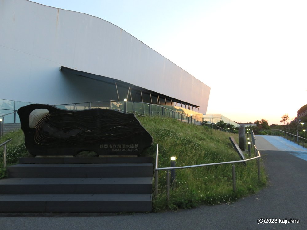 鶴岡市立加茂水族館に再び［第44回 音楽の夕べ ～あなたとクラゲと音楽と～］