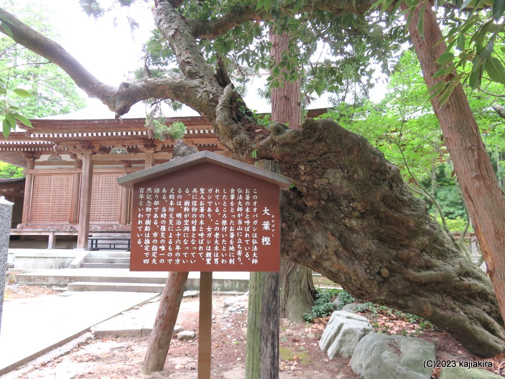胎内市にある古刹「乙宝寺」
