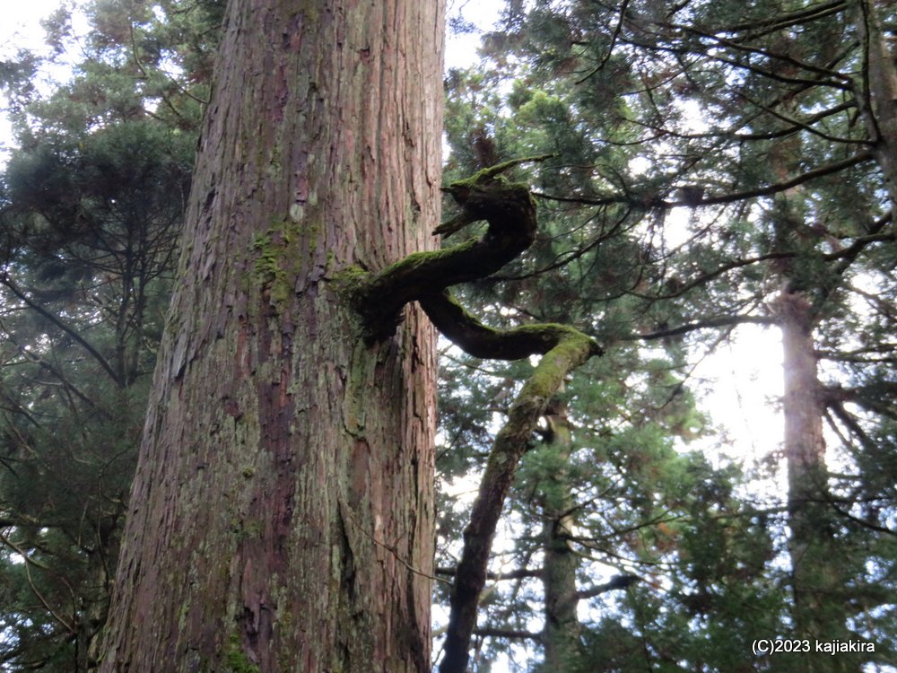 五泉市村松方面へ気まぐれぶらり旅（村松観光開発会館、慈光寺、黄金の里）