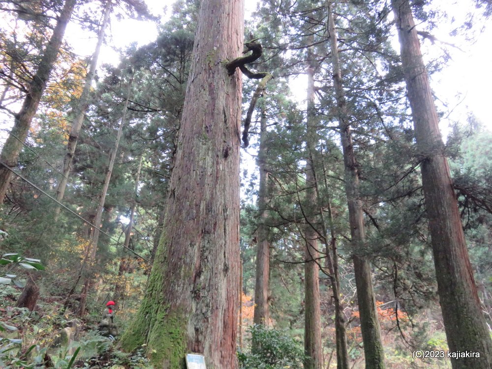 五泉市村松方面へ気まぐれぶらり旅（村松観光開発会館、慈光寺、黄金の里）