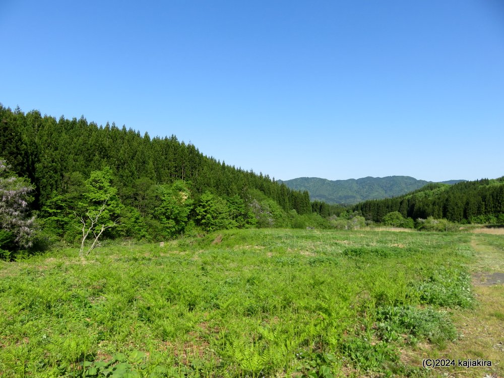 胎内市大長谷「大長谷観光わらび園」に初めて行ってきました