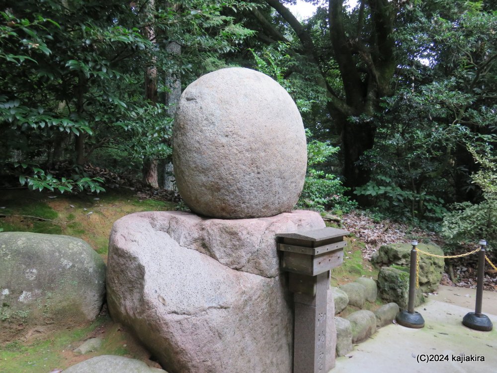 阿賀野市「旦飯野神社御神田」の初穂
