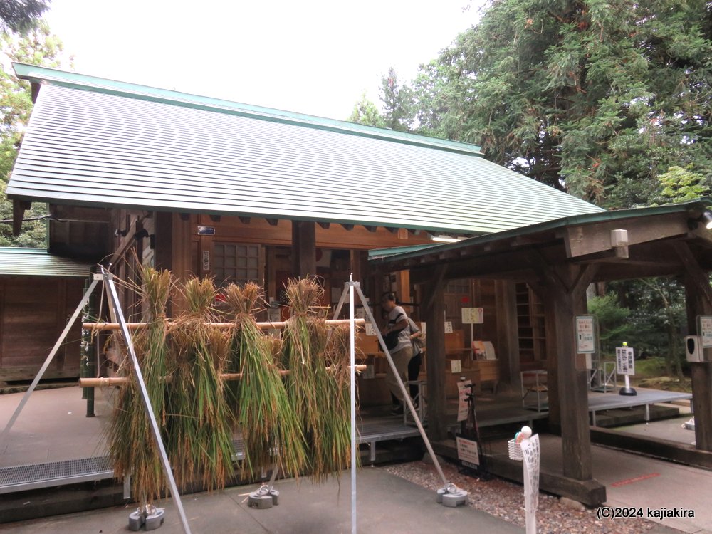 阿賀野市「旦飯野神社御神田」の初穂