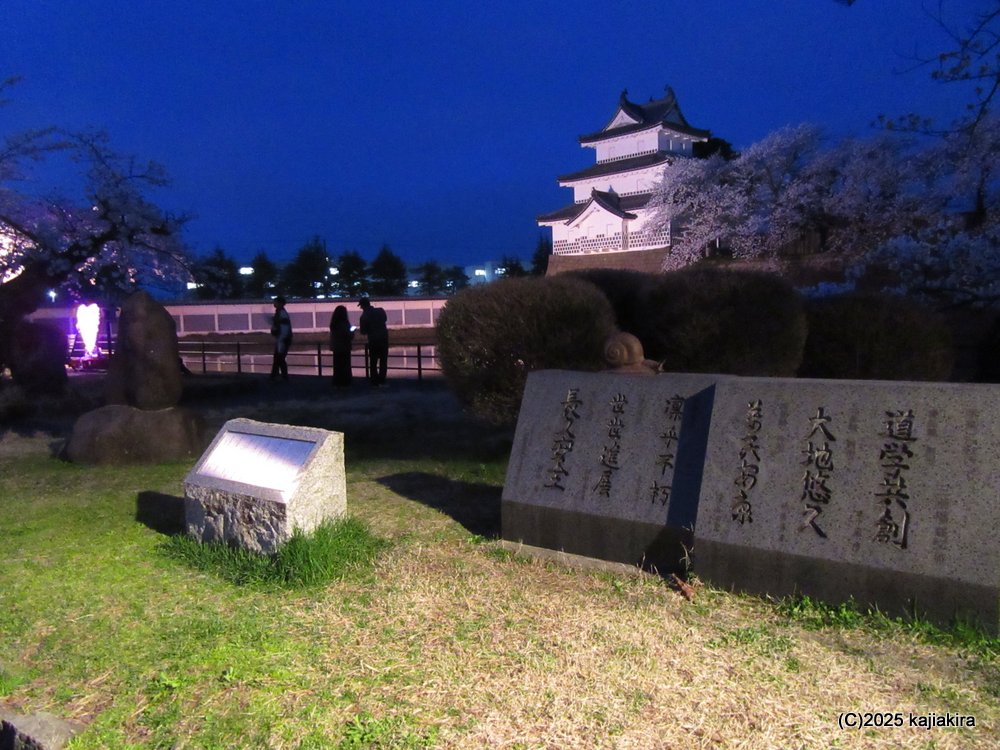 新発田市「新発田城址公園」の桜と新発田城ライトアップ 2025(4/11)