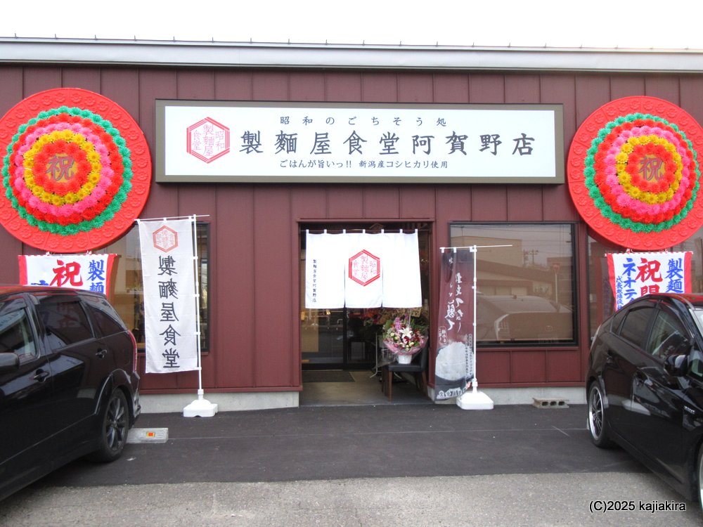 阿賀野市「新江の桜並木」と「製麺屋食堂 阿賀野店」のたれカツ丼 2025(4/17)