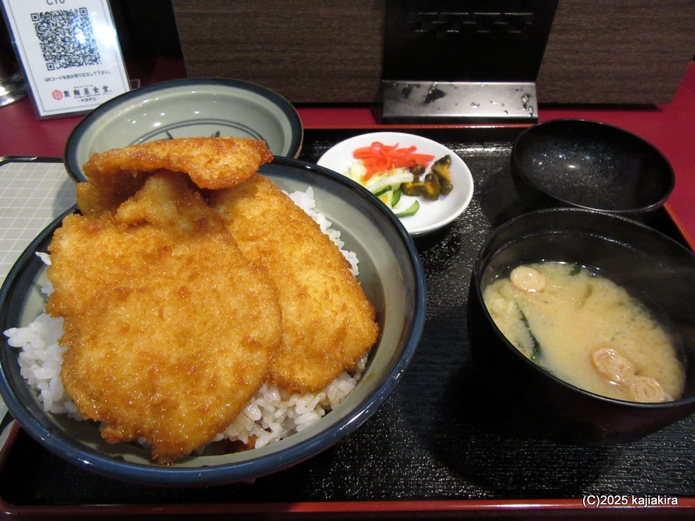 阿賀野市「新江の桜並木」と「製麺屋食堂 阿賀野店」のたれカツ丼 2025(4/17)
