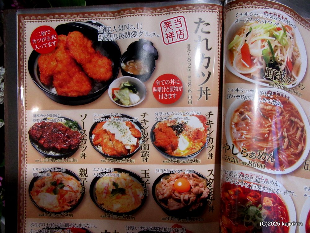阿賀野市「新江の桜並木」と「製麺屋食堂 阿賀野店」のたれカツ丼 2025(4/17)