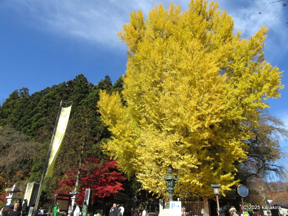 山形県南陽市「熊野大社」参拝と直売所のリンゴ