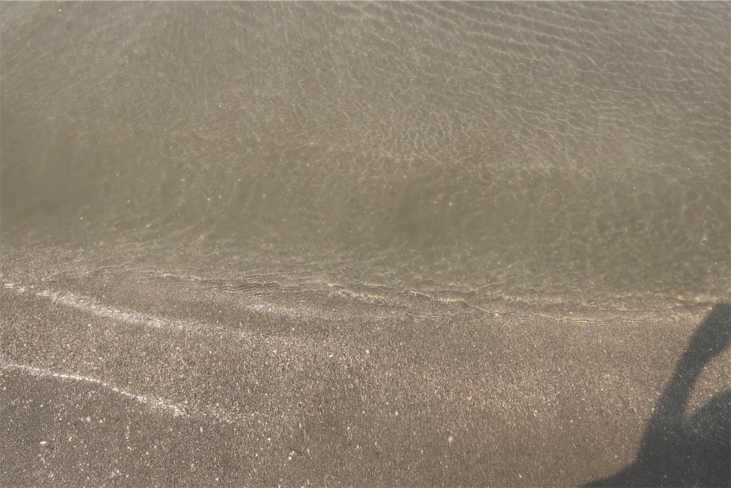 f:id:kajika0:20220702205034j:image f:id:kajika0:20220702205034j:image