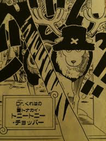 One Piece ワンピース ルフィとチョッパーの変化 本読みのスキャット One Piece ワンピース ルフィとチョッパーの変化 本読みのスキャット