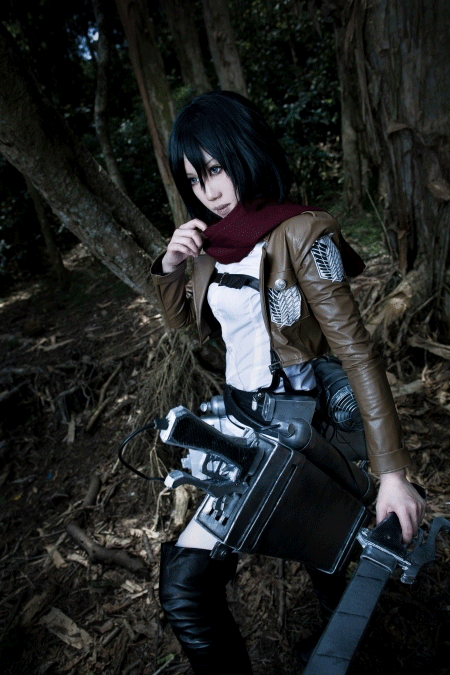f:id:kajika_eps:20130601225445g:image:w460