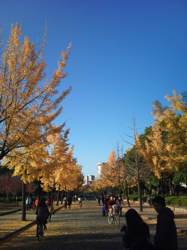 f:id:kajikajitomomo:20101127145341j:image f:id:kajikajitomomo:20101127145341j:image