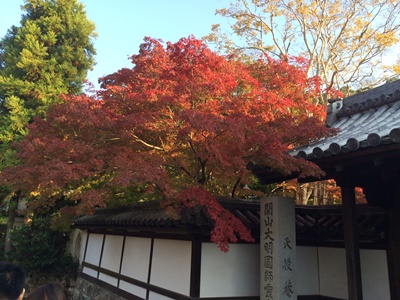 f:id:kajikawa-ganka:20161105153010j:image