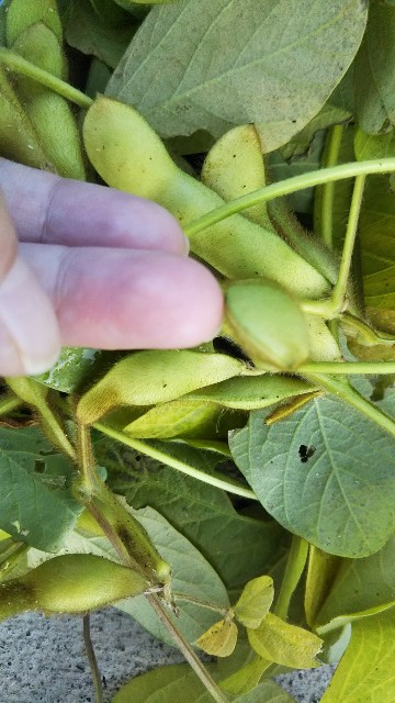 f:id:kajiko36:20181103085052j:image f:id:kajiko36:20181103085052j:image