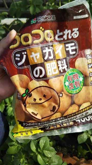 f:id:kajiko36:20181104194538j:image