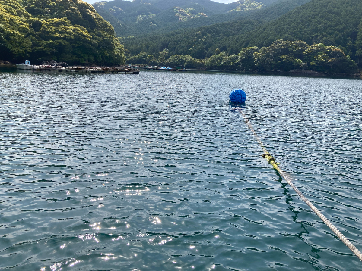 f:id:kajimao:20210429085342j:plain