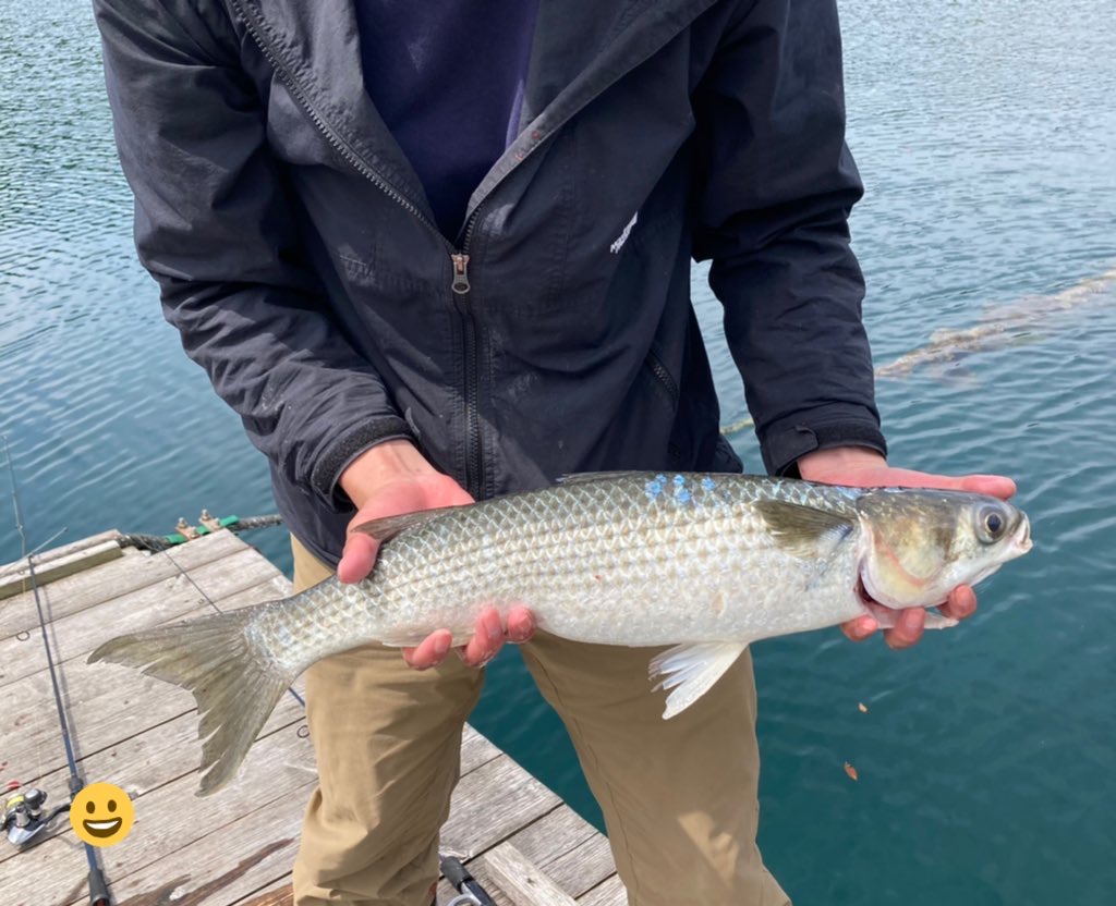 f:id:kajimao:20210429090207j:plain