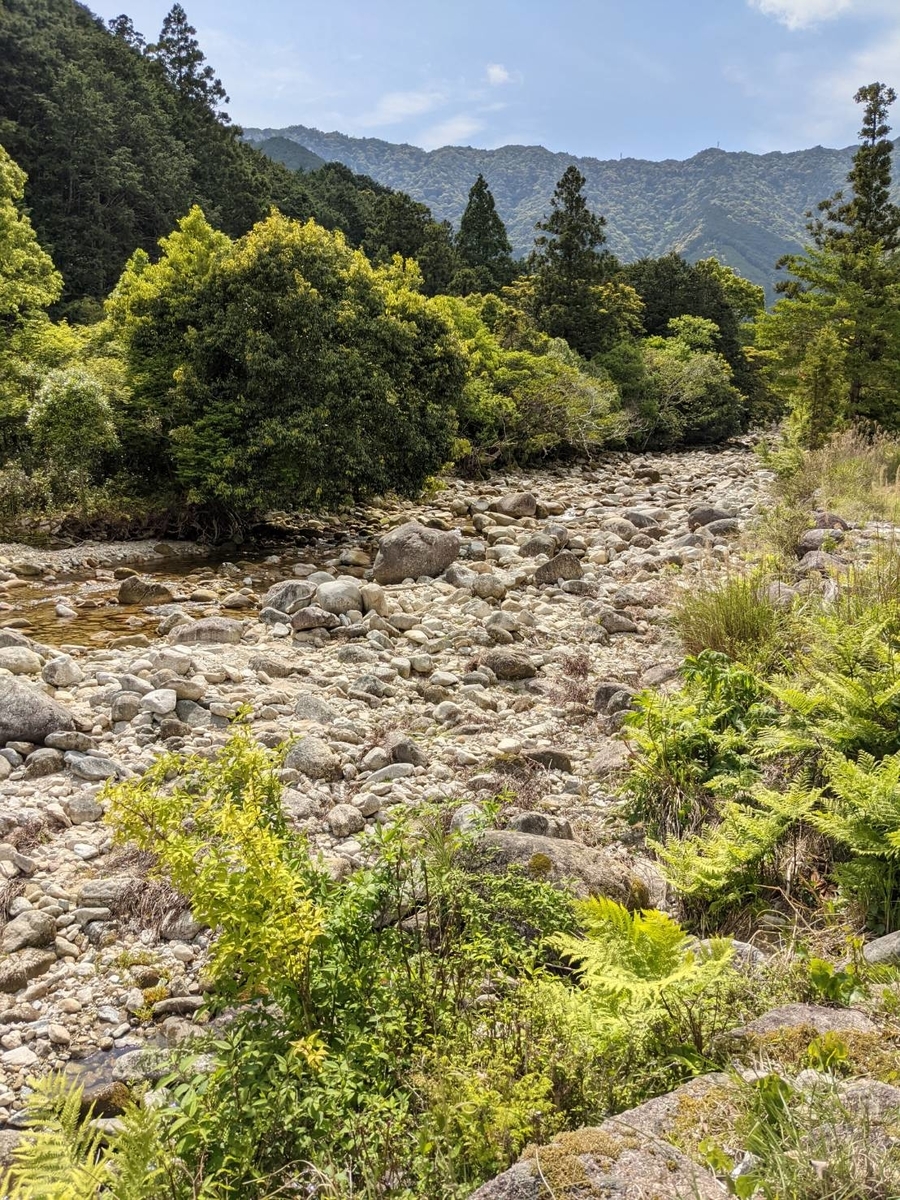 f:id:kajimao:20210429093104j:plain