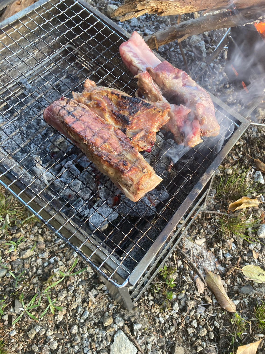 f:id:kajimao:20210429093607j:plain