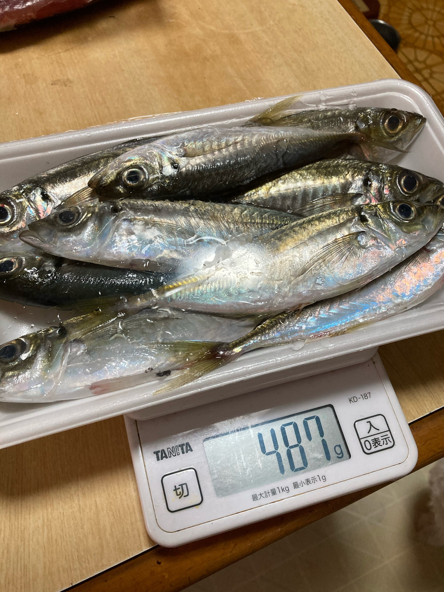 f:id:kajimao:20210429124516j:plain