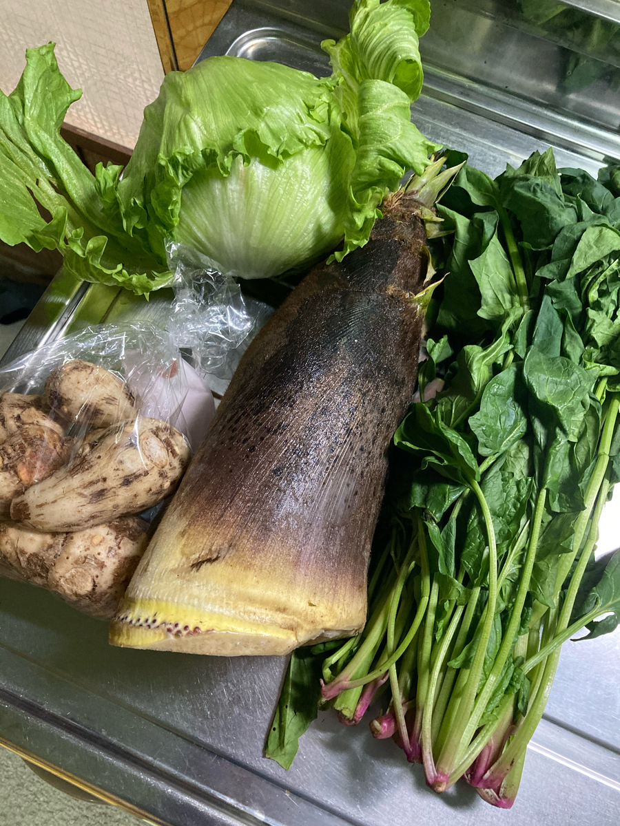 f:id:kajimao:20210429124537j:plain