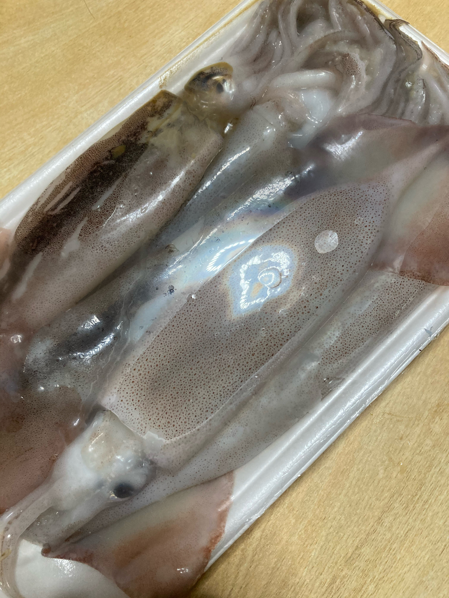 f:id:kajimao:20210522210910j:plain