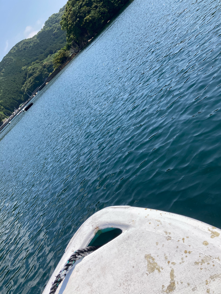 f:id:kajimao:20210602141243j:plain