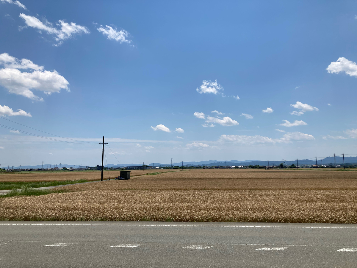 f:id:kajimao:20210602153130j:plain